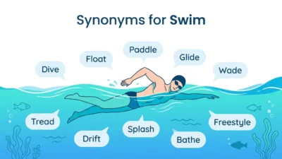 Synonyms for Swim