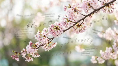 Synonyms for Blossom